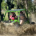 Buggy Adventure for Amber Cove and Taino Bay Passengers - The Sum Up: Who Will Appreciate This Experience?