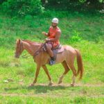 Buggy, Horse and Zip Line with Lunch included from Punta Cana - Who Will Love This Tour?