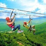 Buggy Horse and Zip Line with Lunch Included from Punta Cana - Practical Details and What to Expect