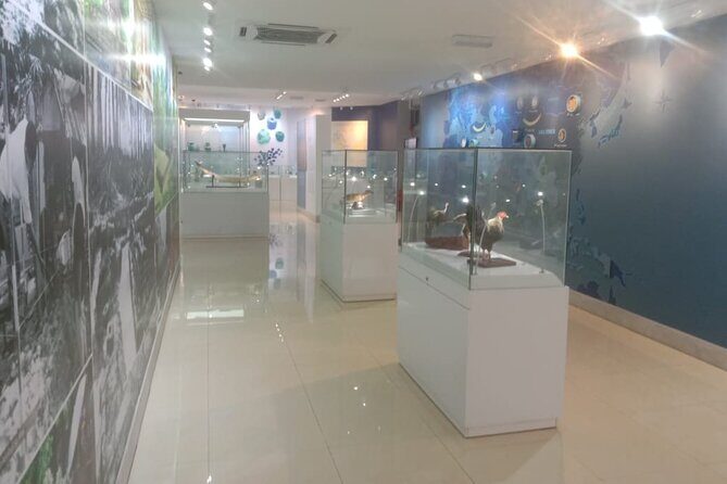 Bujang Valley Archaeology & Sireh Cave Discovery from Penang - The Practicalities: What You Need to Know