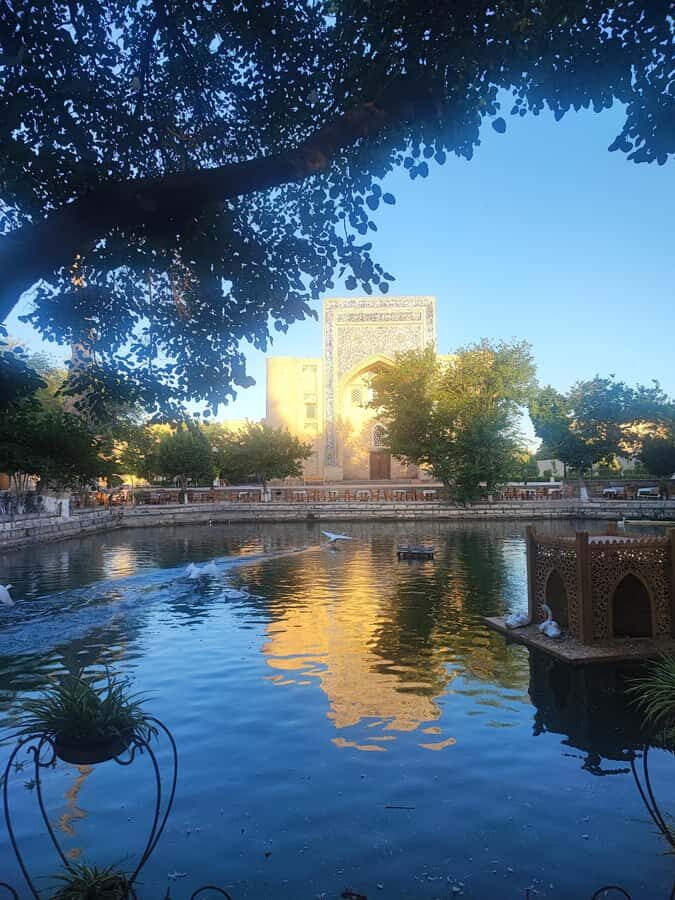 Bukhara: City Walking Tour with Poi Kalon Complex - Who Will Enjoy This Tour Most?