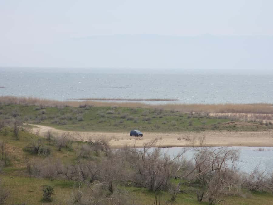 Bukhara/Samarkand: Nurata, Aydarkul Lake & Desert Day Trip - How Does It Value Compare?