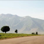 Bukhara-Shakhrisabz-Samarkand One Day Trip - Cost and Value