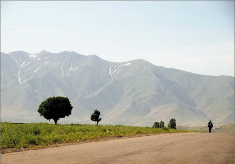 Bukhara-Shakhrisabz-Samarkand One Day Trip - Cost and Value