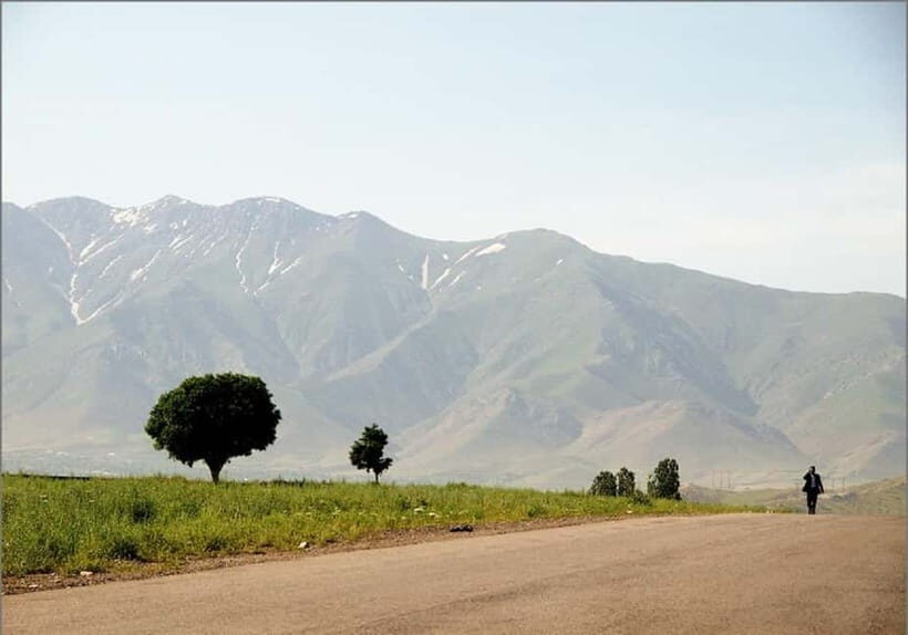 Bukhara-Shakhrisabz-Samarkand One Day Trip - Cost and Value