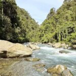 Bukit Lawang: Half Day Ethical Jungle And Eco Friendly Trek - Practical Tips for Your Trek