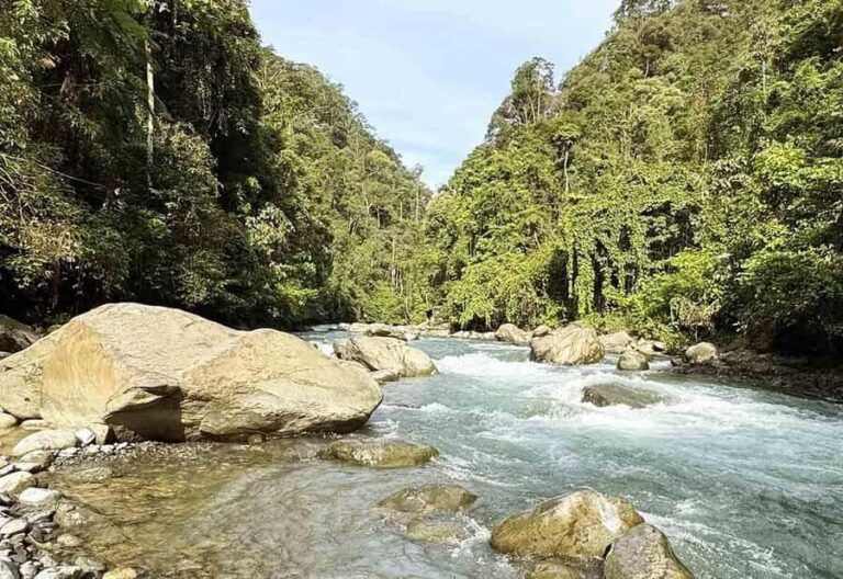 Bukit Lawang: Half Day Ethical Jungle And Eco Friendly Trek - Practical Tips for Your Trek