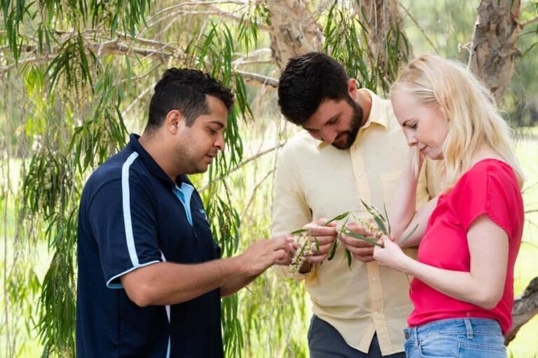 Bundaberg: Half Day Indigenous Experience with Morning Tea - Exploring the Itinerary: What Will You Actually Do?