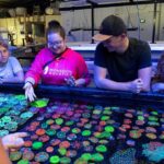 Bundaberg: Monsoon Aquatics Coral Farm Guided Tour - Who Will Love This Tour?