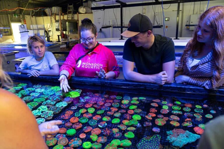 Bundaberg: Monsoon Aquatics Coral Farm Guided Tour - Who Will Love This Tour?