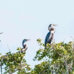 Bundala National Park Private Safari from Tangalle - The Itinerary Breakdown