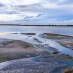 Bundala National Park Safari from Dikwella - Final Thoughts