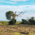 Bundala National Park Safari from Hikkaduwa - Lunch Break and Preparing for the Safari