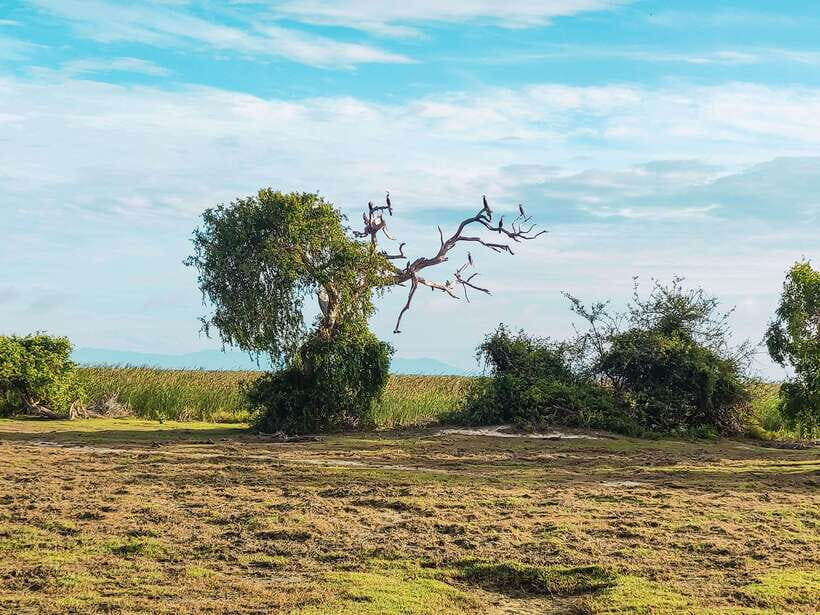 Bundala National Park Safari from Hikkaduwa - Lunch Break and Preparing for the Safari