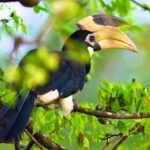 Bundala National Park Safari from Tangalle - Why This Tour Offers Good Value