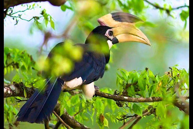 Bundala National Park Safari from Tangalle - Why This Tour Offers Good Value