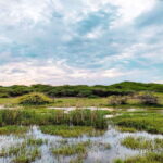 Bundala National Park Safari from Weligama - The Practicalities and Value of the Tour