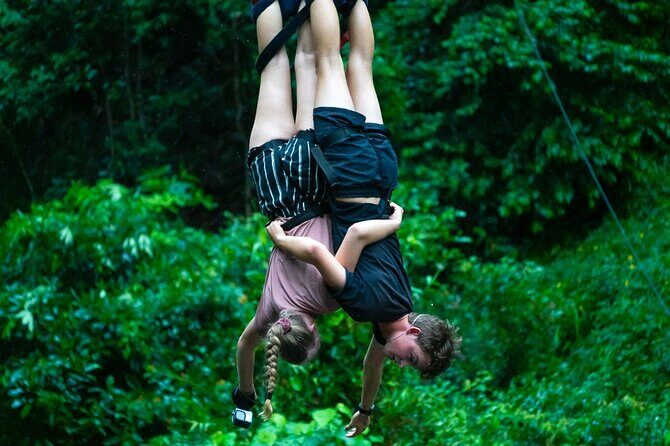 Bungy Jump Experience at Skypark Cairns by AJ Hackett - The Authentic Experience: What Reviewers Say