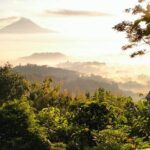 Bunker Kaliadem Merapi Car Private Tour Yogyakarta - What’s Included and What’s Not