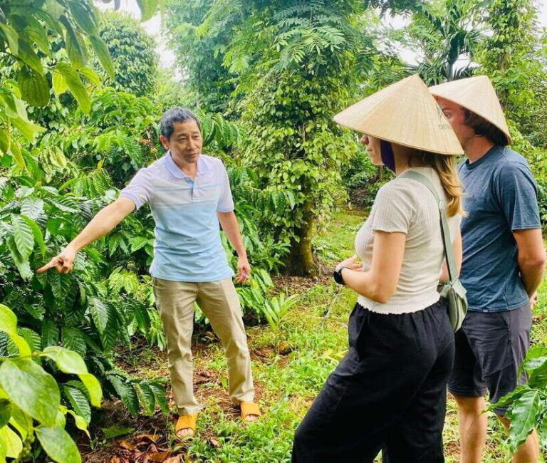 Buon Ma Thuot: Bean to Brew Coffee Farm Tour with Tasting - Is It Worth the Price?