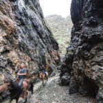 Bus tour to visit Gobi 4 day - Day-by-Day Breakdown