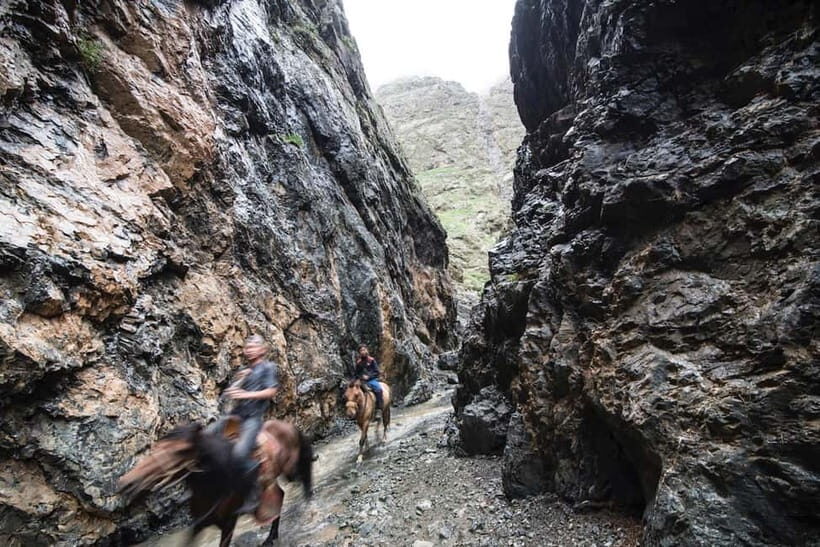 Bus tour to visit Gobi 4 day - Day-by-Day Breakdown