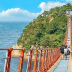 Busan: 7 Highlights Gyeongju City One Day Tour - The Value and Experience