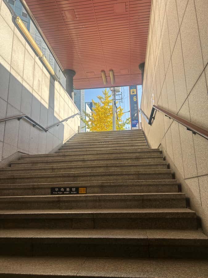 Busan: Beomeosa Temple Tour with Meal and Hike Option - Who Will Love This Experience?