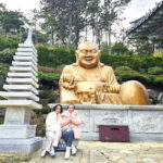 Busan Cruise Port - VIP Group Tour (Max 6 Guests) - Transportation, Timing, and Comfort