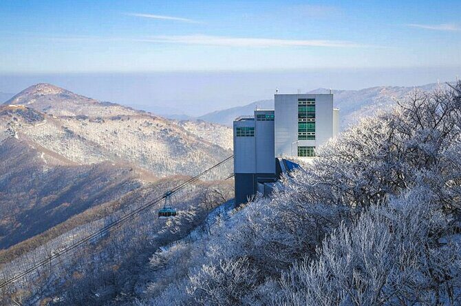 Busan Discovery Tour with Snow and UNESCO Spot - Transportation & Group Dynamics