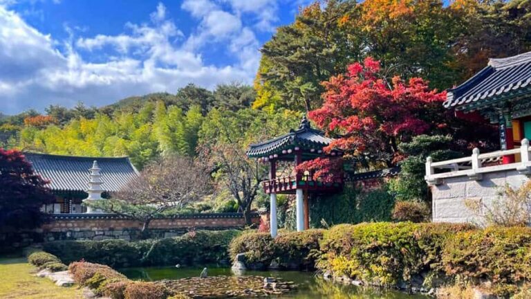 Busan: Discovery Tour With Snow & UNESCO Spot - Practical Tips for Travelers