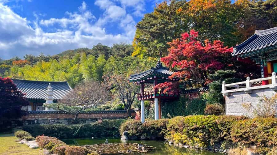 Busan: Discovery Tour With Snow & UNESCO Spot - Practical Tips for Travelers