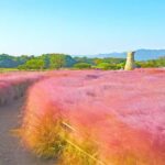 Busan: Gyeongju UNESCO Customizable Private Day & Night Tour - What to Expect on the Day