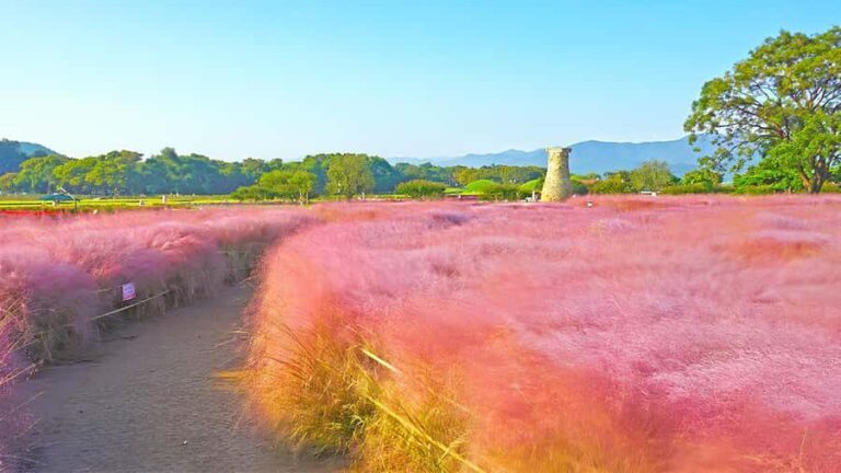 Busan: Gyeongju UNESCO Customizable Private Day & Night Tour - What to Expect on the Day