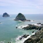 Busan: Haedong Yonggungsa Temple, Camellias Island & More - How the Experience Comes Together