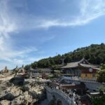 Busan: Haedong Yonggungsa Temple &Fishing Village Tour - An In-Depth Review of the Busan Coastal Tour