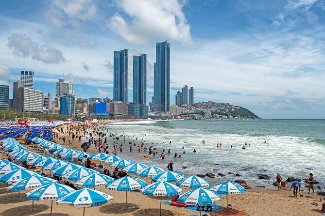 Busan Hidden Gems Beaches and Local Food Private Tour - Final Thoughts