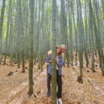 Busan Hidden Gems Private Tour with a Certified Guide - The Flexibility of a Customizable Experience