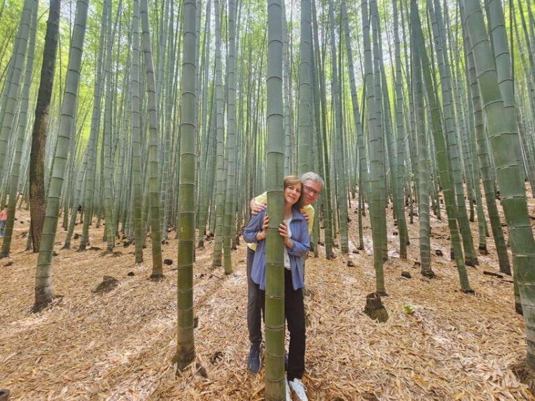 Busan Hidden Gems Private Tour with a Certified Guide - The Flexibility of a Customizable Experience