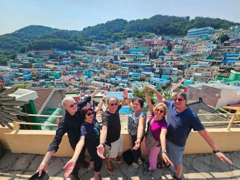 Busan Hidden Gems Private Tour with a Certified Guide - Why This Tour Offers Great Value