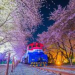 Busan: Jinhae Cherry Blossom Festival Day or Night Tour - The Journey Begins: How It’s Structured