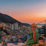 Busan Night Tour & Optional Snapshots - Analyzing the Value & Practical Aspects