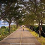 Busan Private Bike Tour - The Practical Side: Price, Duration, and What to Expect