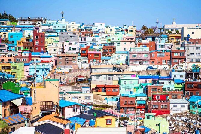 Busan Private Customizable City Tour with Licensed Local Guide - An In-Depth Look at the Busan Private Tour