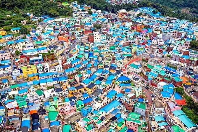 Busan Private Guide Tour : Enjoy customized tour only for you! - What Sets This Tour Apart?