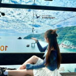 Busan: Sightseeing Tour for Cruise Passengers - What Do Past Travelers Say?
