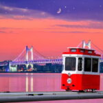 Busan: Sunset Haeundae Sky Capsule & Busan Night Views Tour - The Daritdol Observatory and Ocean Walk