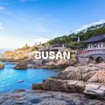 Busan: Top Attractions Authentic One-Day Guided Tour - What Makes This Tour Stand Out?