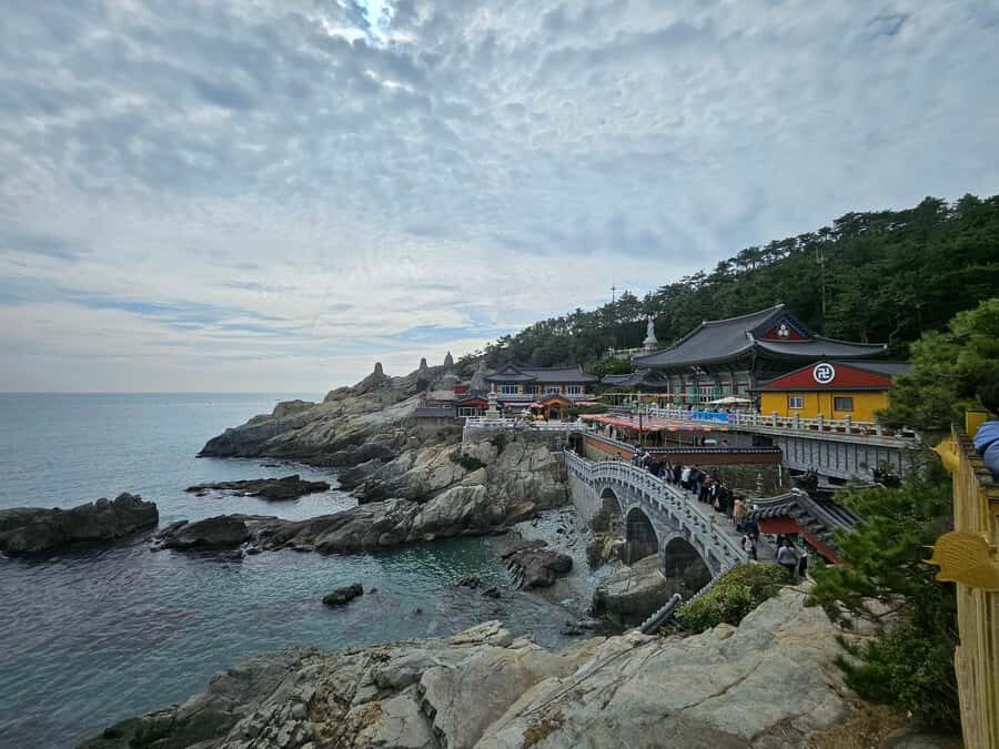 Busan: Top Attractions Tour for Cruise Guests - What to Expect: Practical Tips