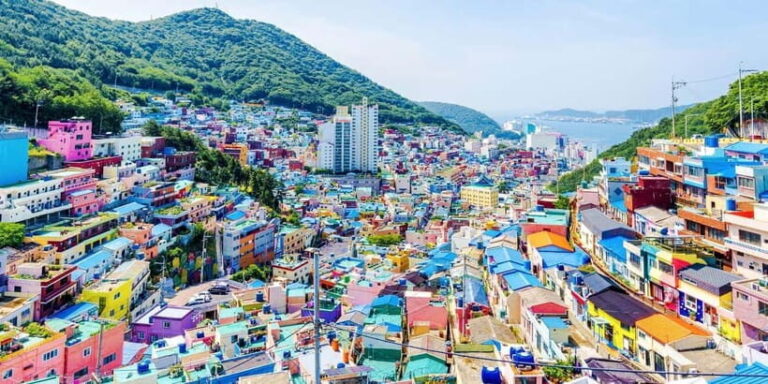 Busan Tour with Gamcheon Village & haedong yonggungsa temple - Who Will Love This Tour?